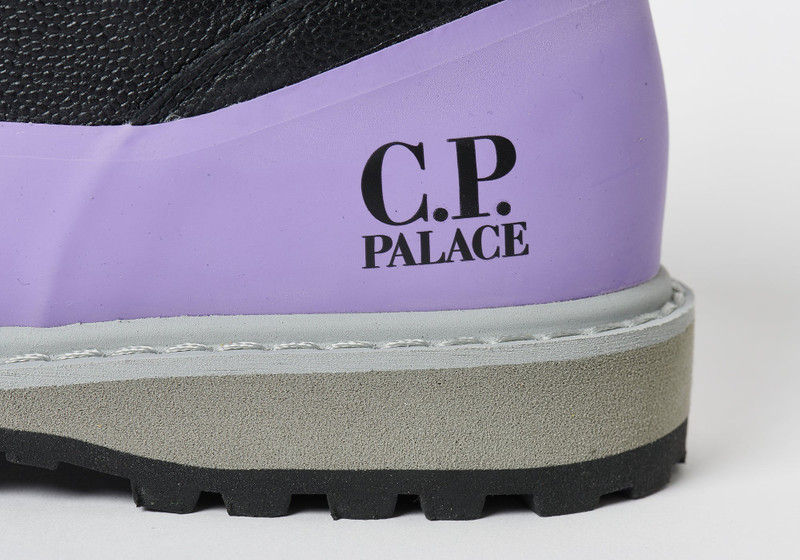 PALACE C.P. COMPANY DIEMME ROCCIA BASSO DAHLIA PURPLE 8