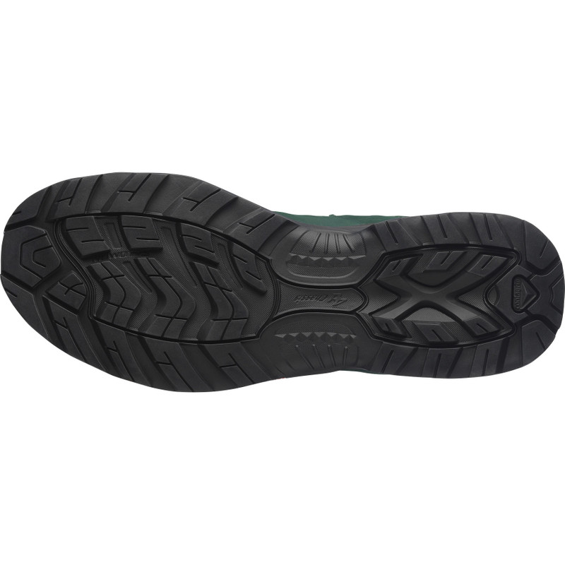 SALOMON QUEST LOW 2 GR10K outlook