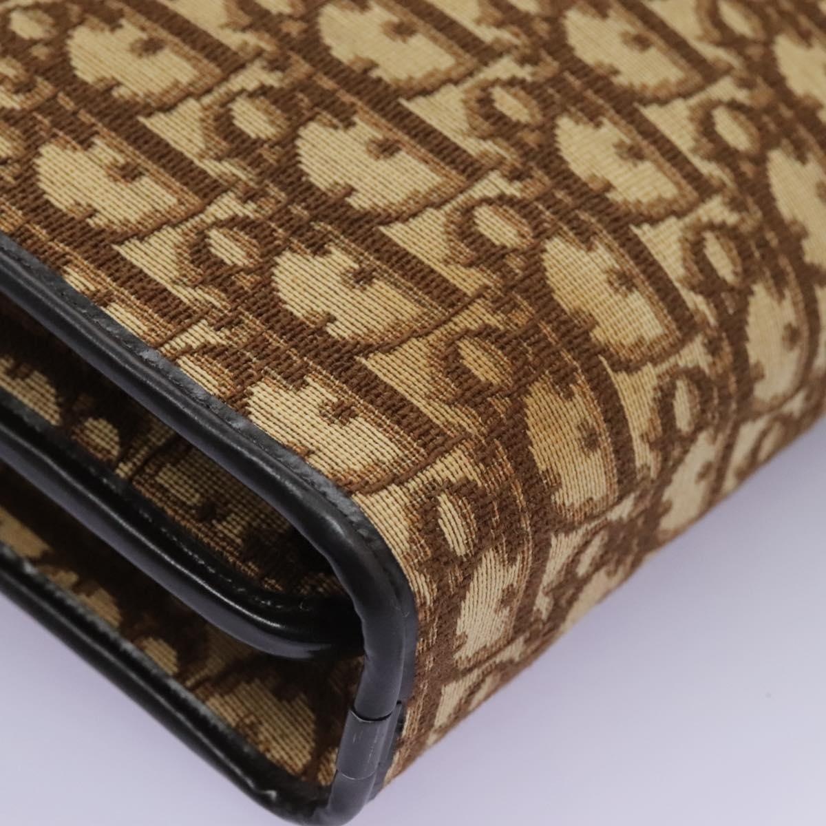 DIOR Trotter Canvas Hand Bag Brown - 13