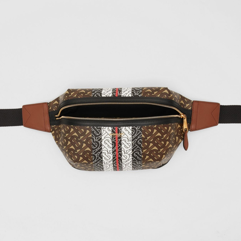 Medium Monogram Stripe E-canvas Bum Bag 6