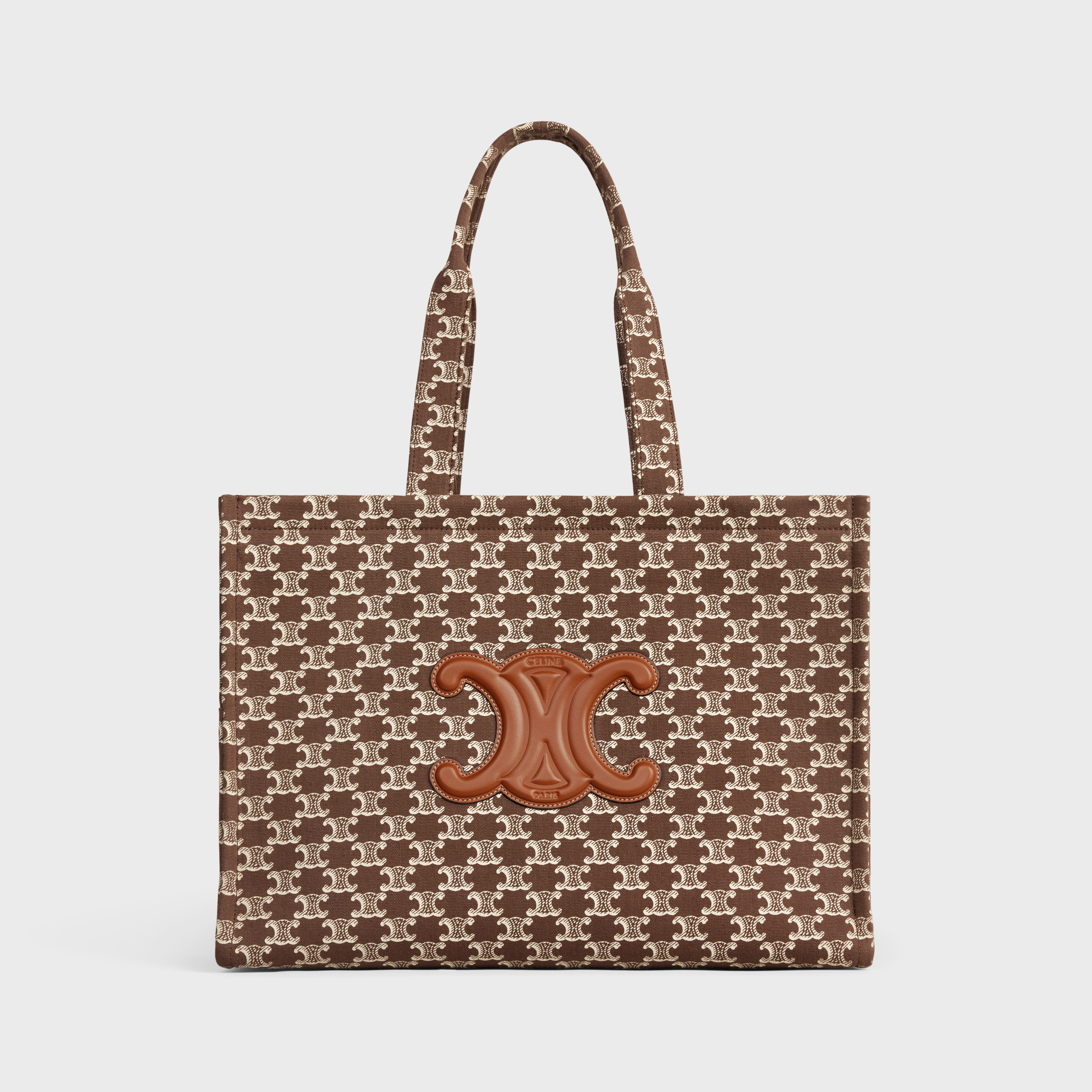 Large Cabas Thais in TEXTILE WITH TRIOMPHE CANVAS PRINT AND CALFSKIN - 5