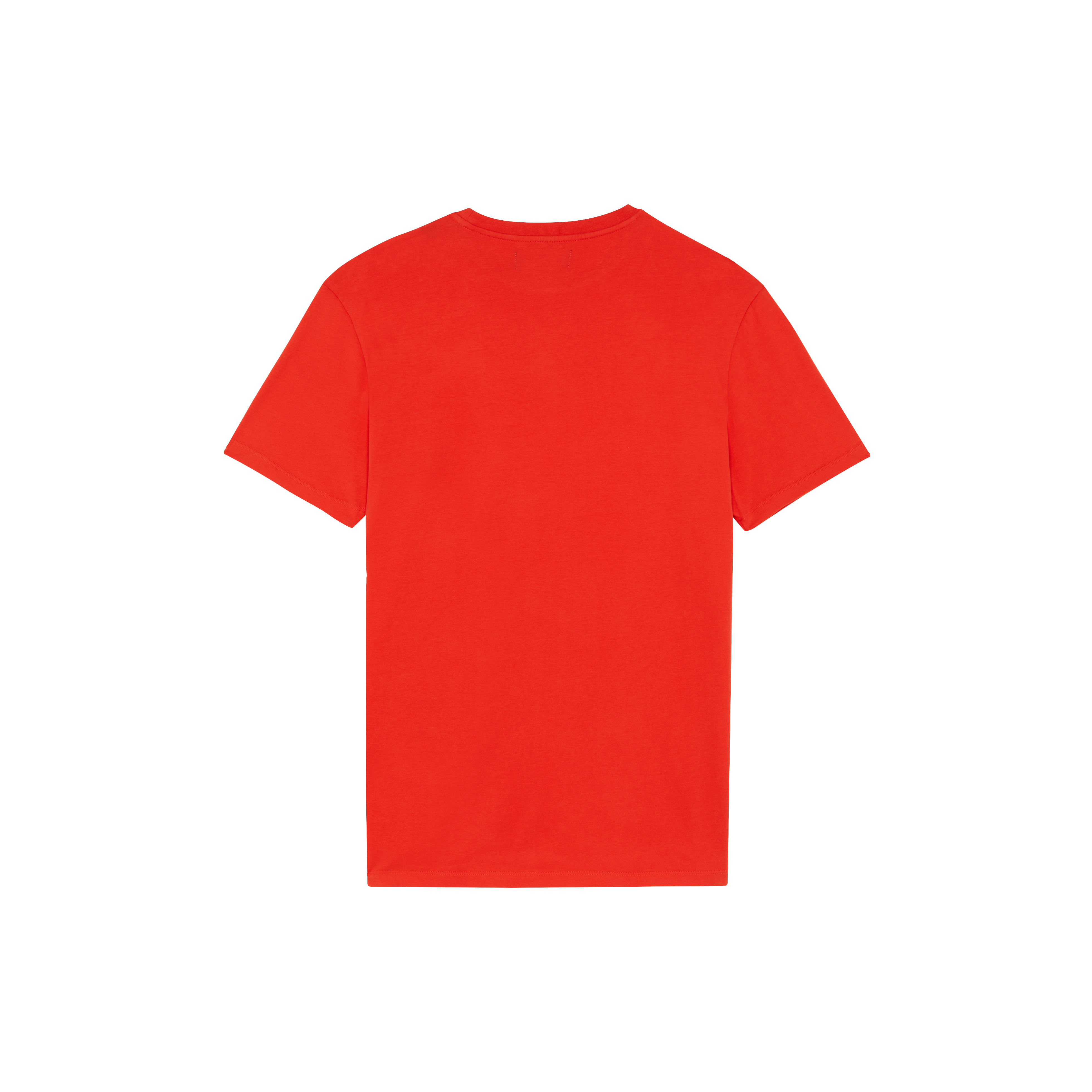 Men Organic Cotton T-shirt Embroidered Turtle - 2