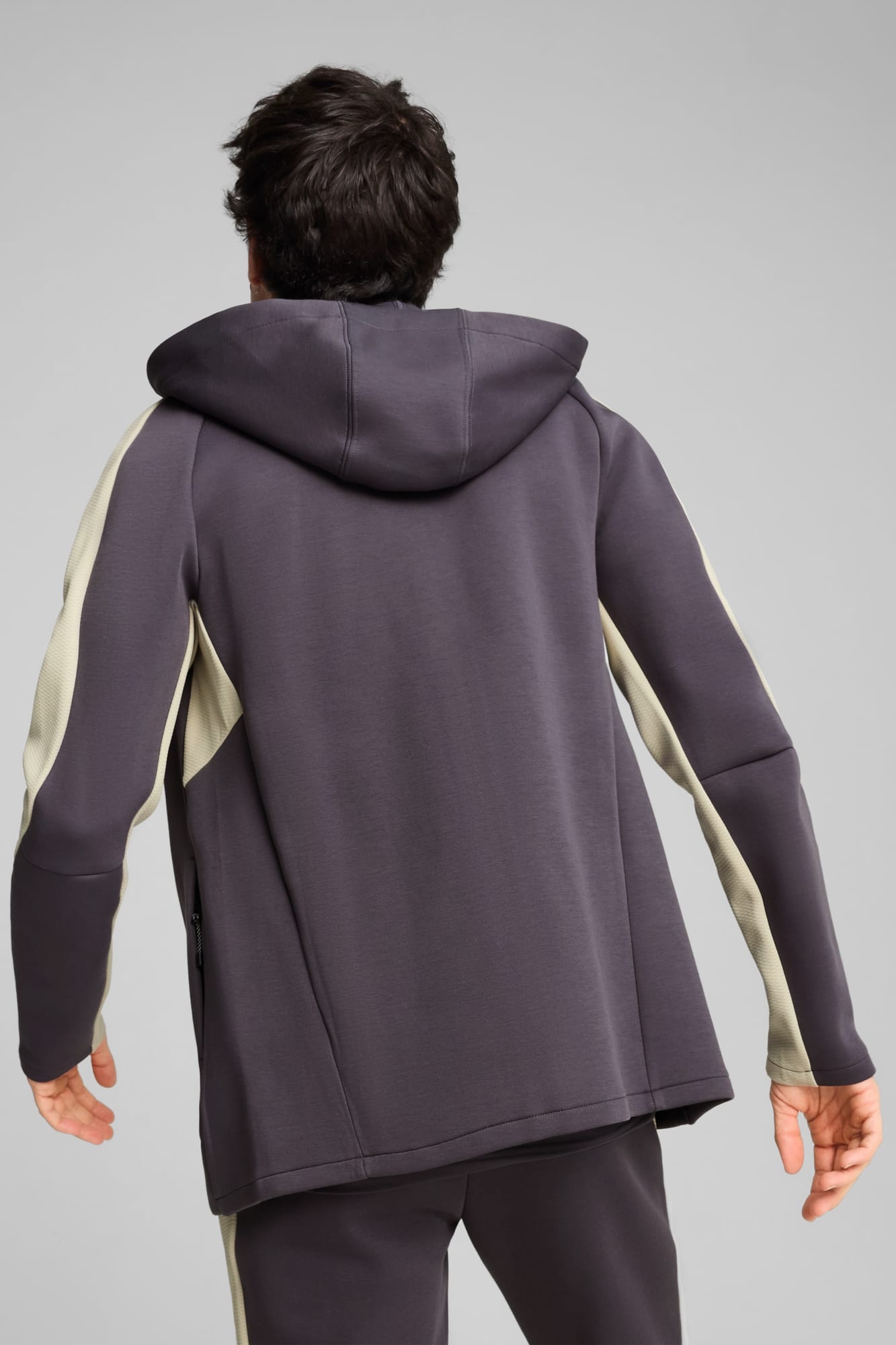 EVOSTRIPE Full-Zip Men's Hoodie - 6