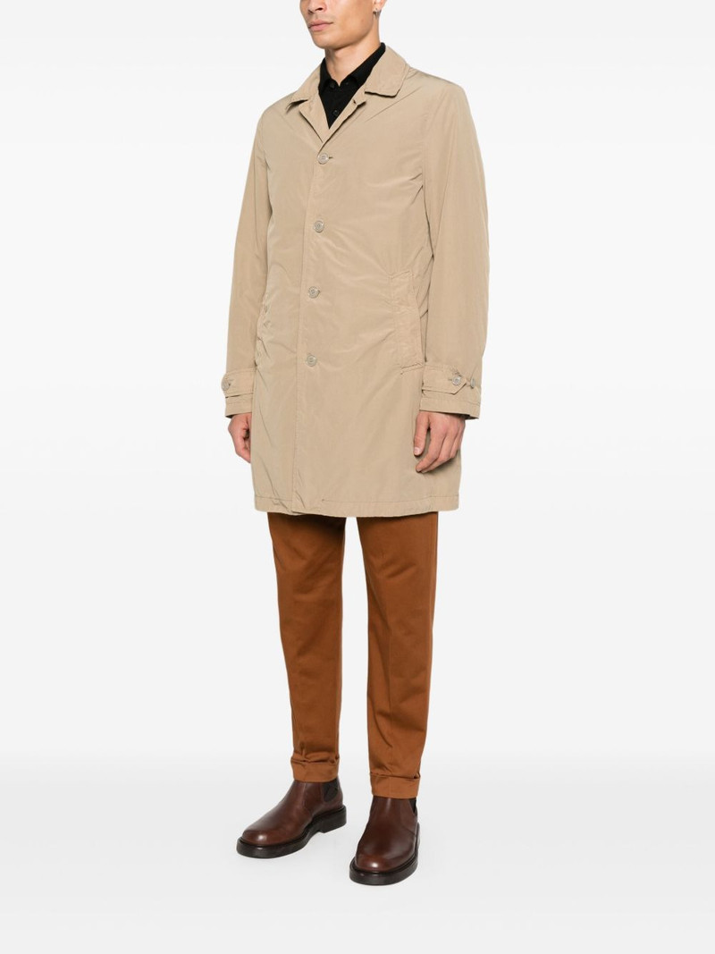 Lemon coat 3