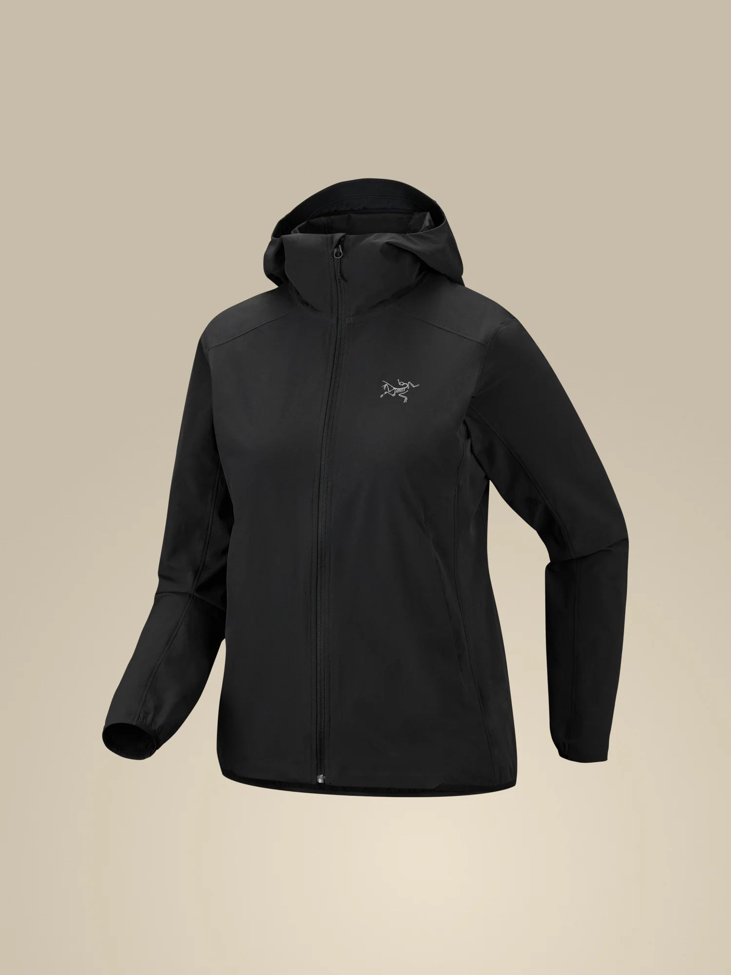 Gamma Lightweight Hoody - 1