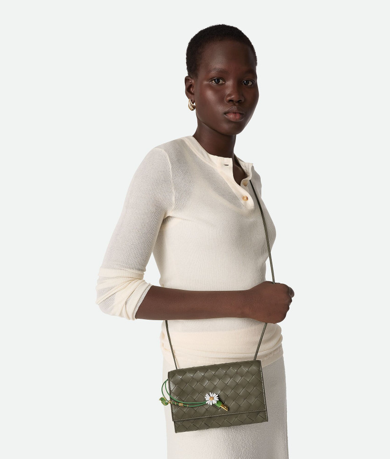 Bottega Veneta Andiamo Daisy Pouch outlook
