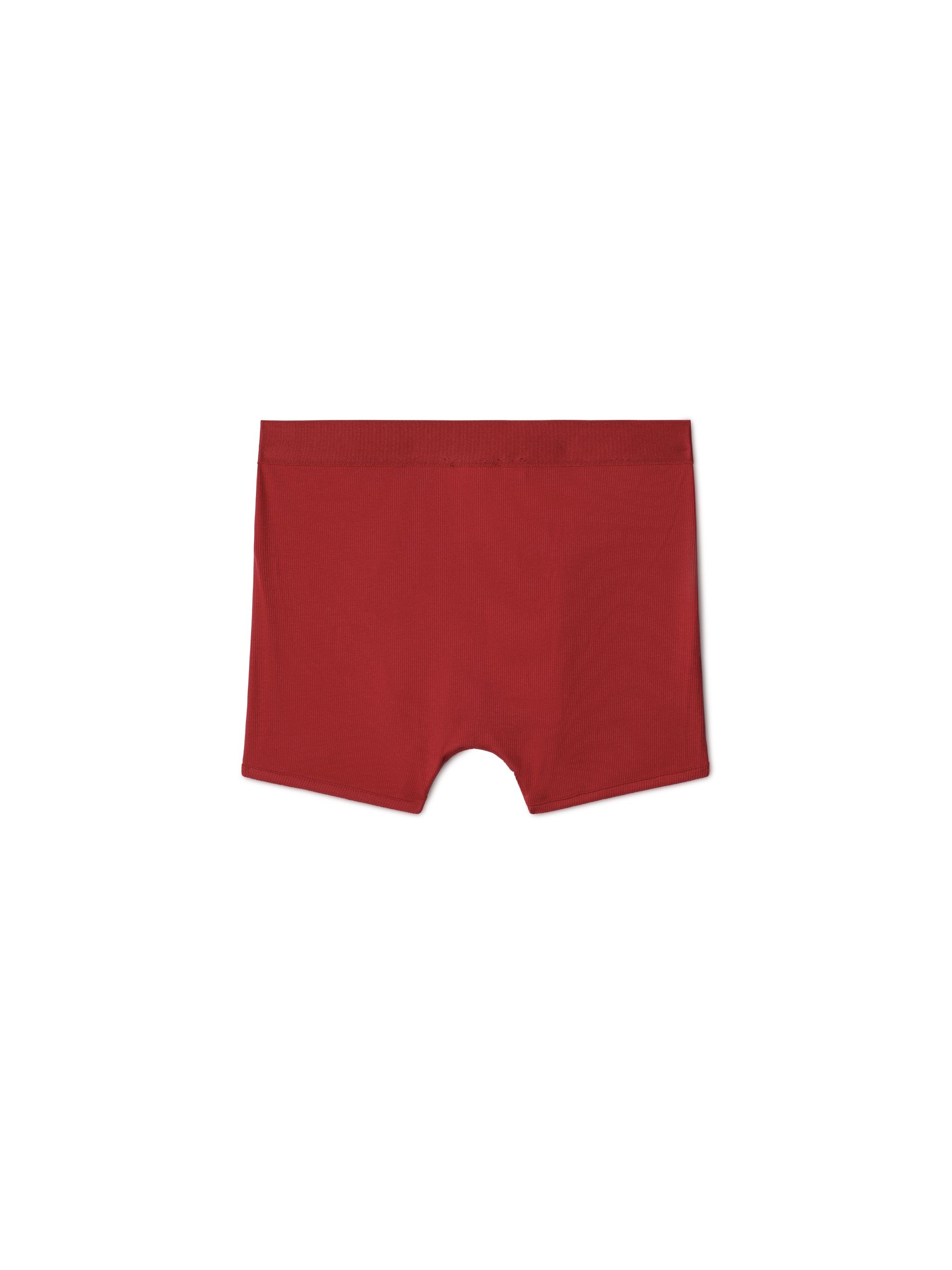 2024 Lunar New Year Boxer - 2