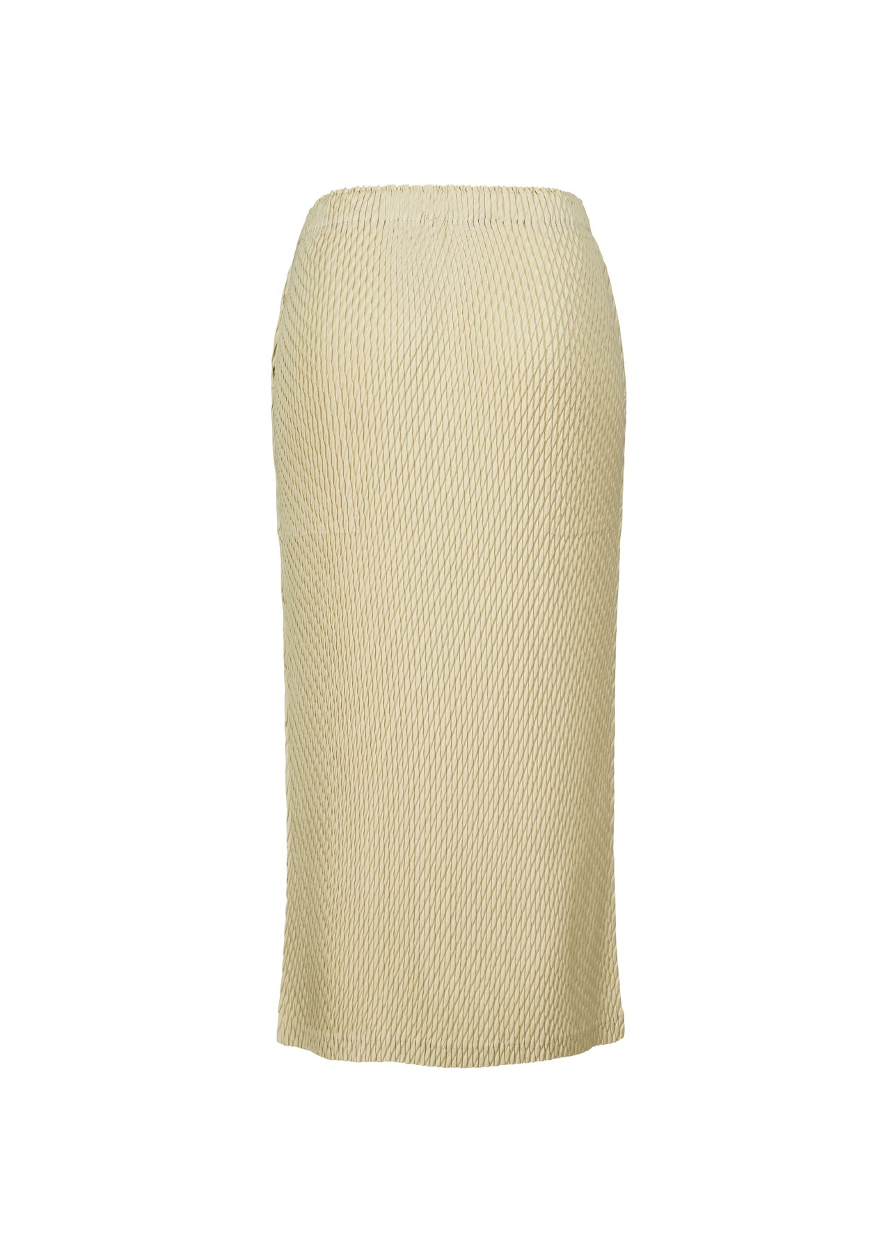 SLEEK PLEATS SKIRT - 2