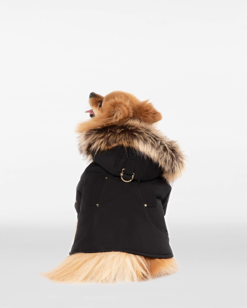 POOCH PARKA 4