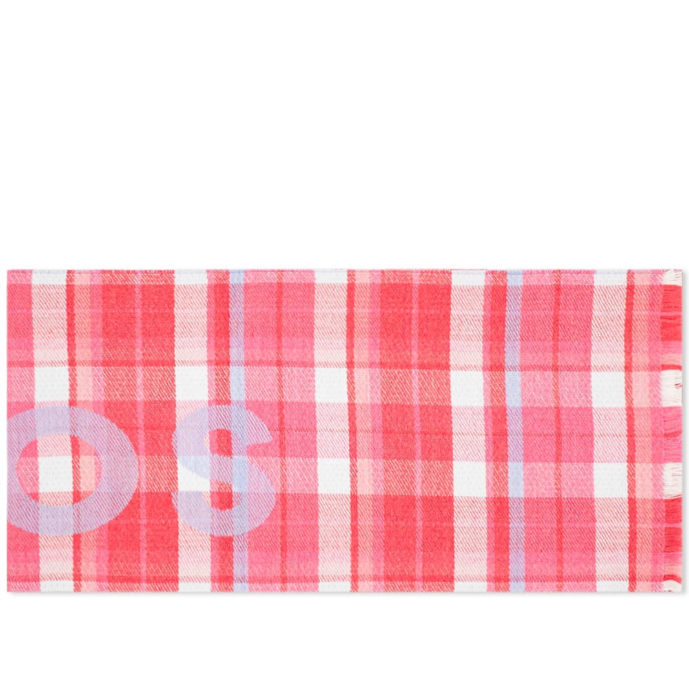 Acne Studios Victoria Check Logo Scarf - 2