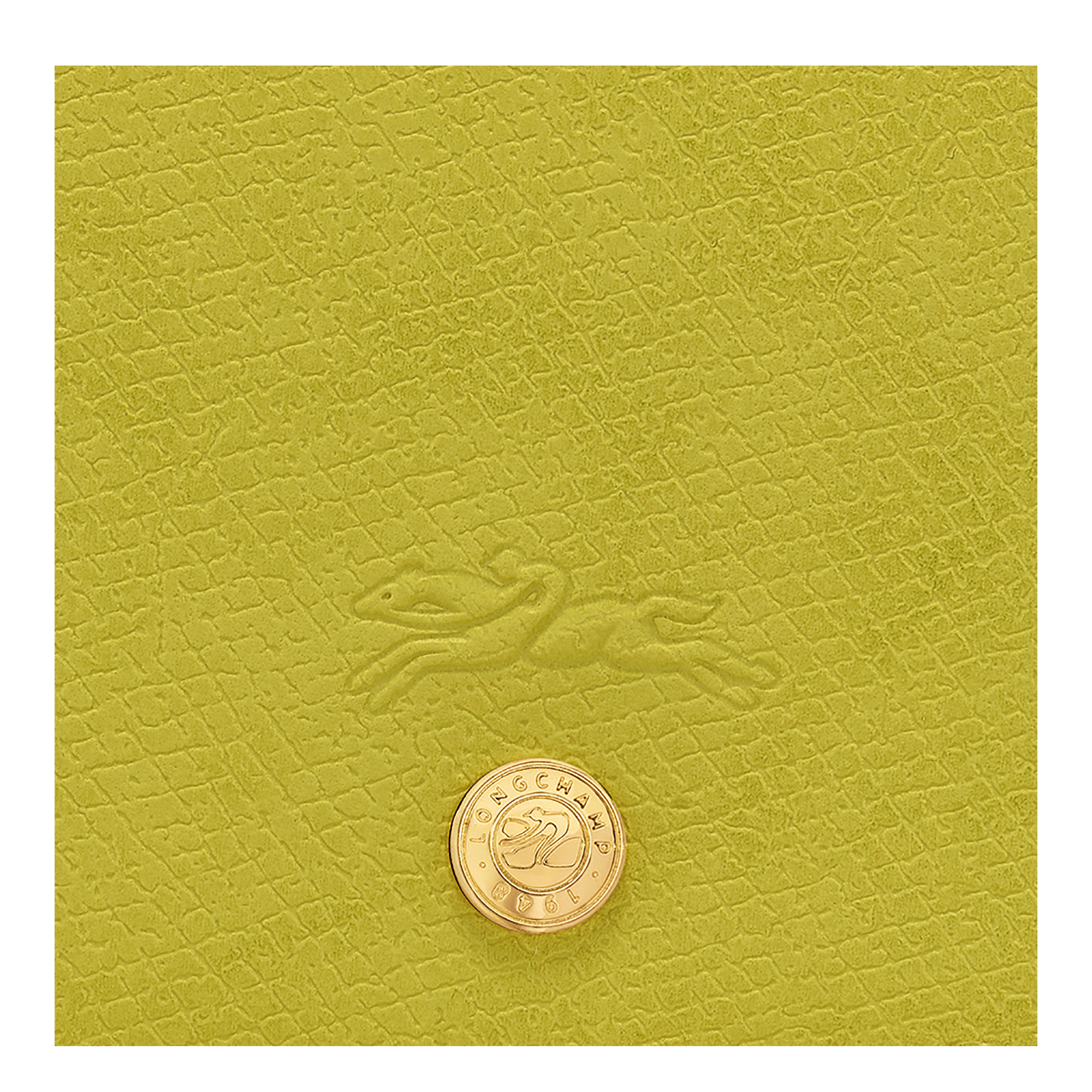 Épure S Crossbody bag Kiwi Green - Leather - 6