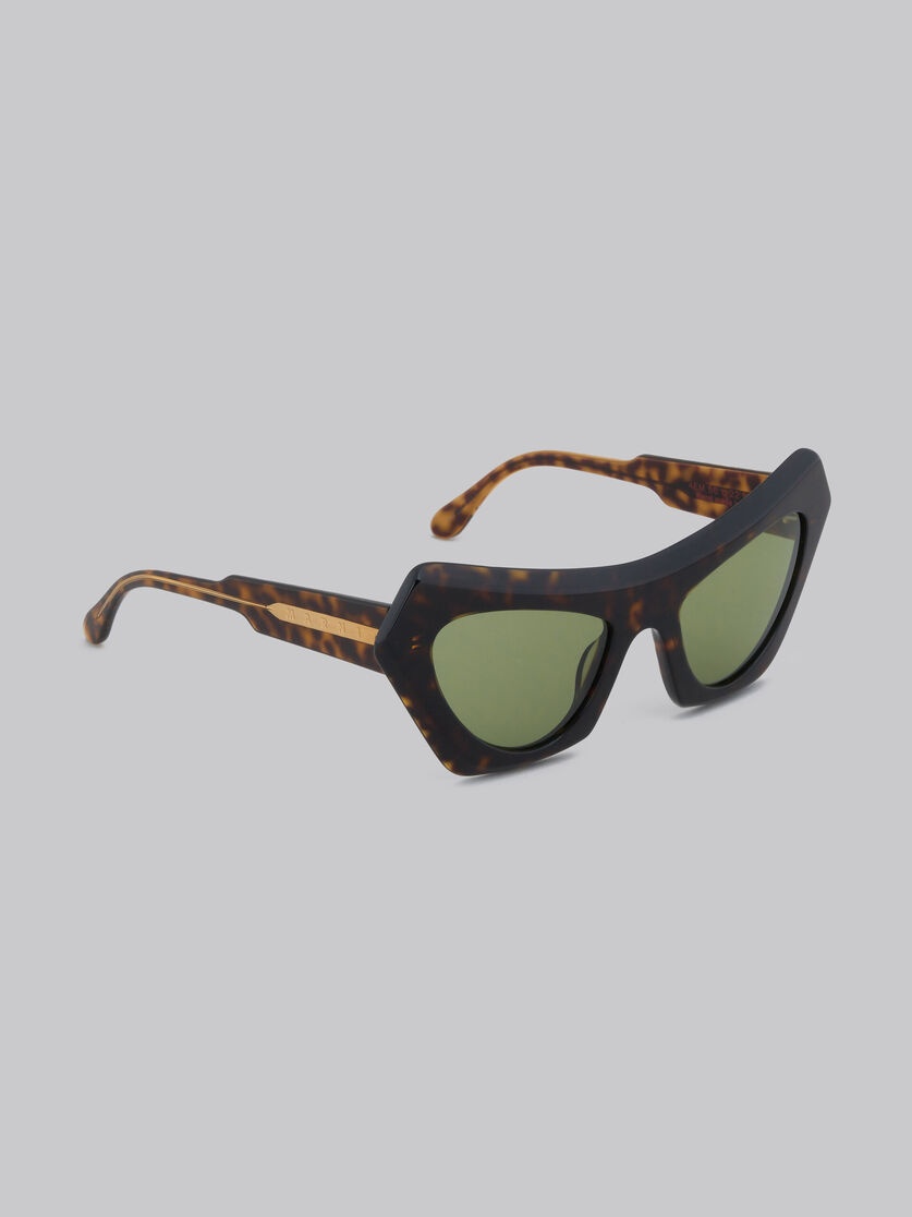 DEVIL'S POOL HAVANA SUNGLASSES - 3