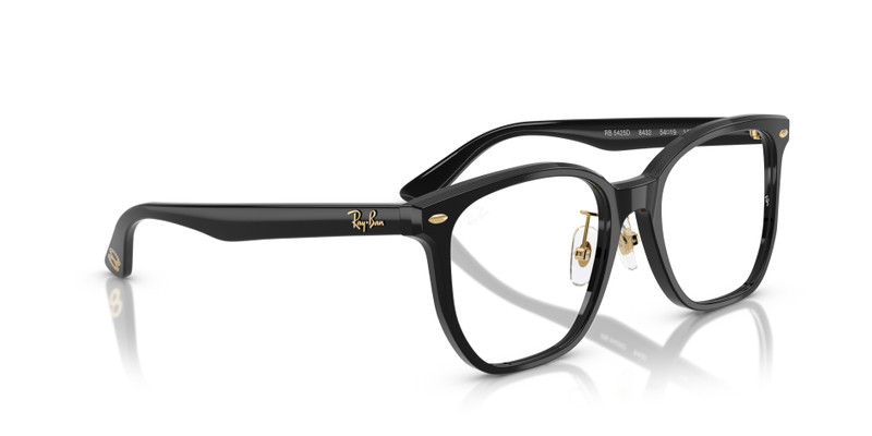 RB5425D OPTICS YEAR OF THE SNAKE EDITION 8