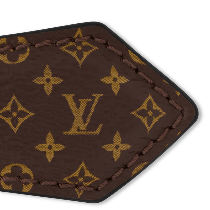 LV Backstage Mini Hair Clips 3