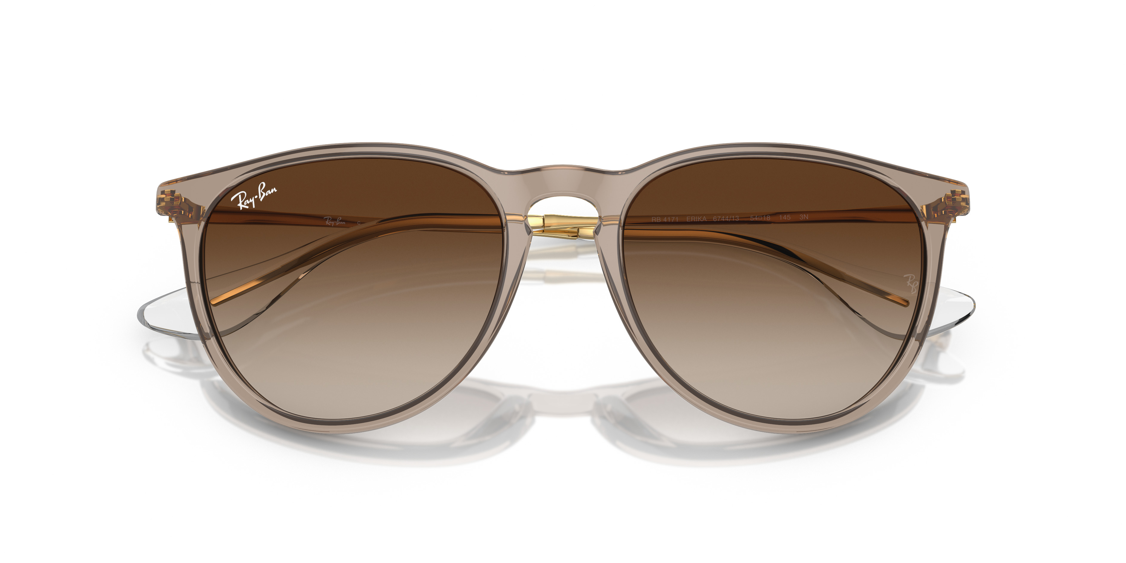 RB4171 Erika Classic - 5