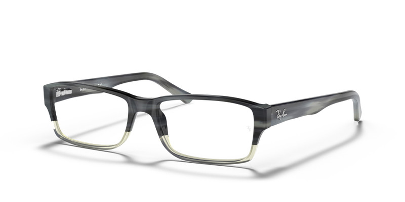 RB5169 OPTICS 1