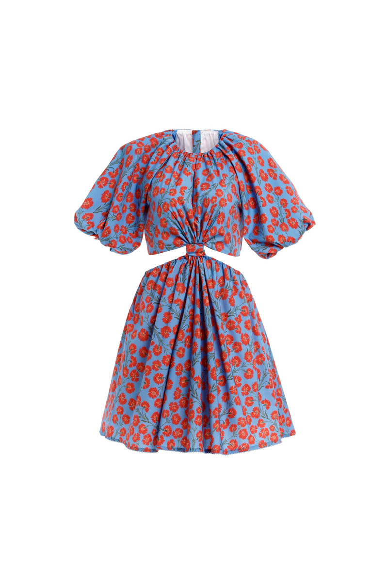 Laurel Bermelo Mini Dress 1