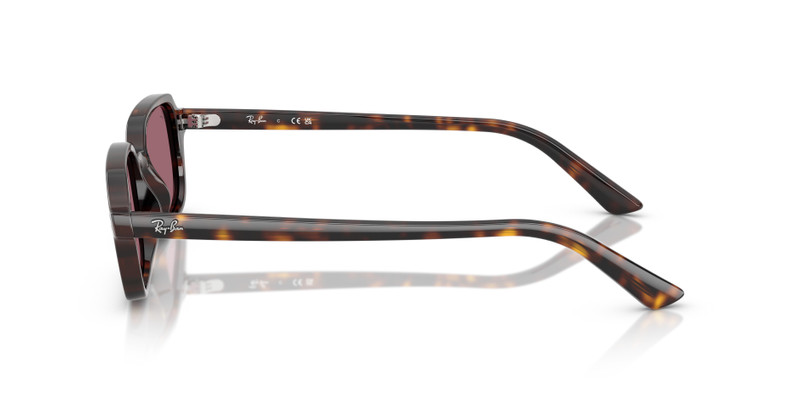 ZURI BIO-BASED LIMITED 5