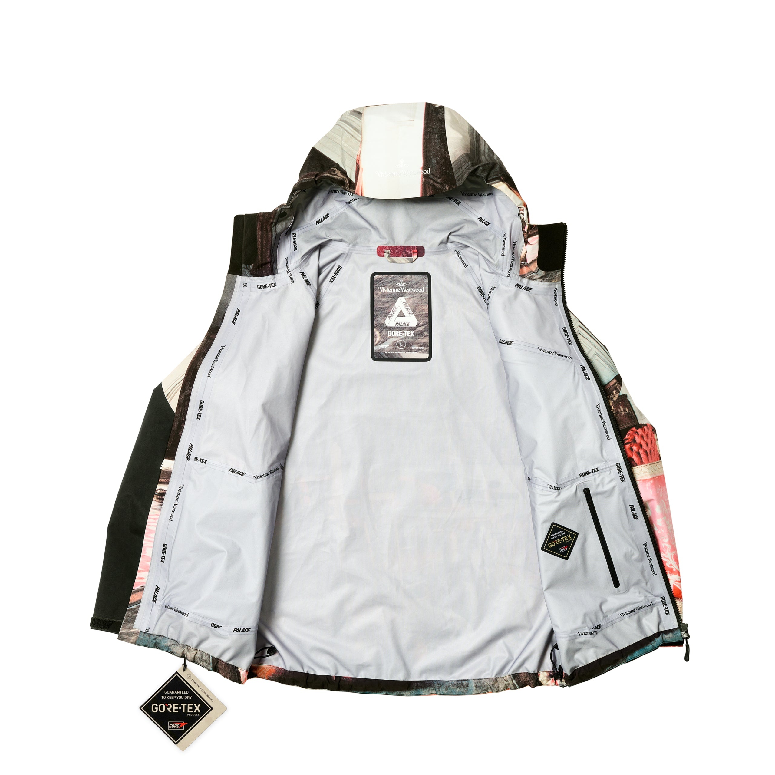 PALACE VIVIENNE WESTWOOD GORE-TEX JACKET COLOUR PRINT - 3