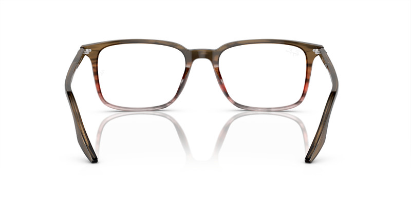 RB5421 OPTICS 6