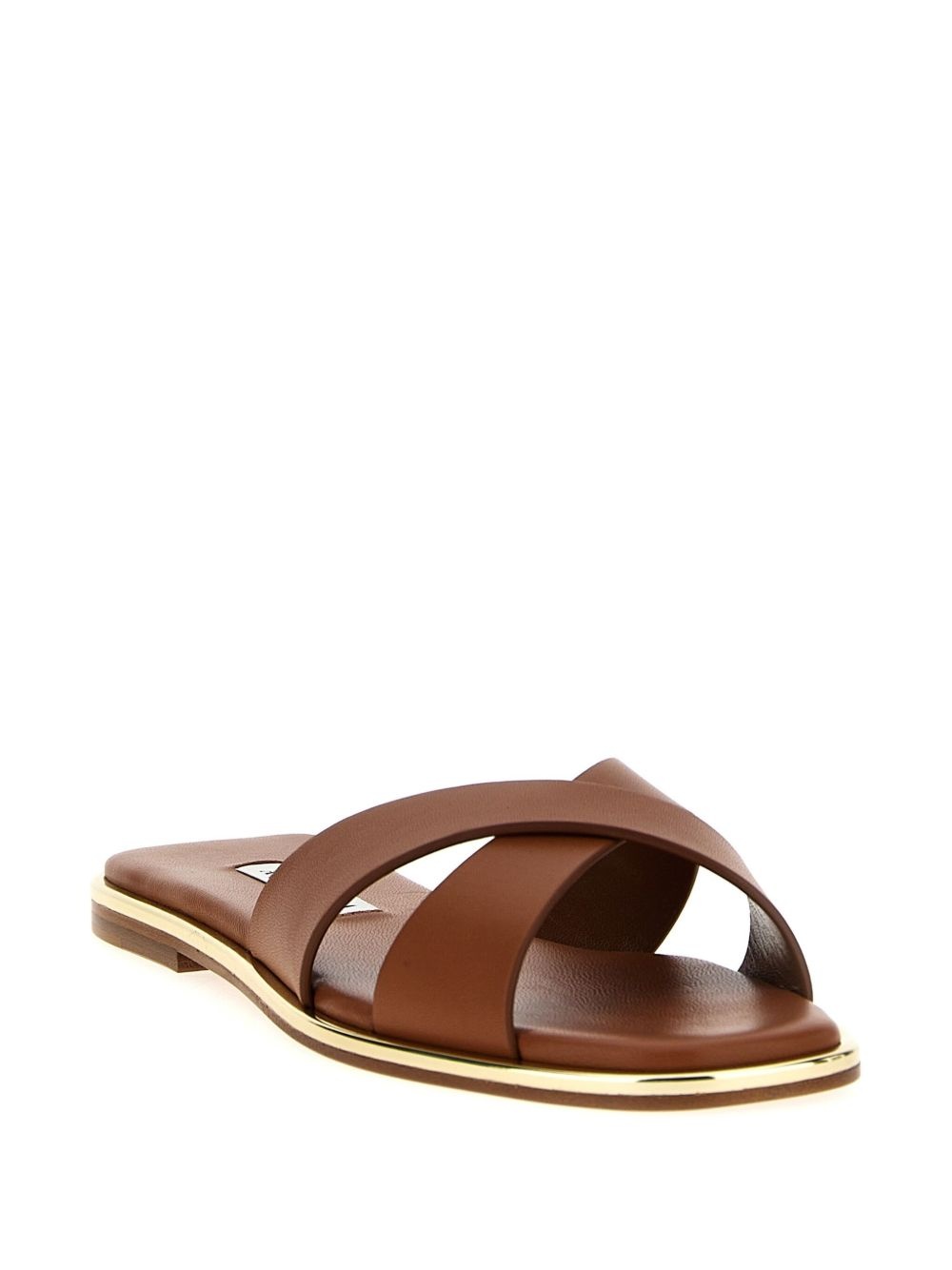 Divine slides - 2