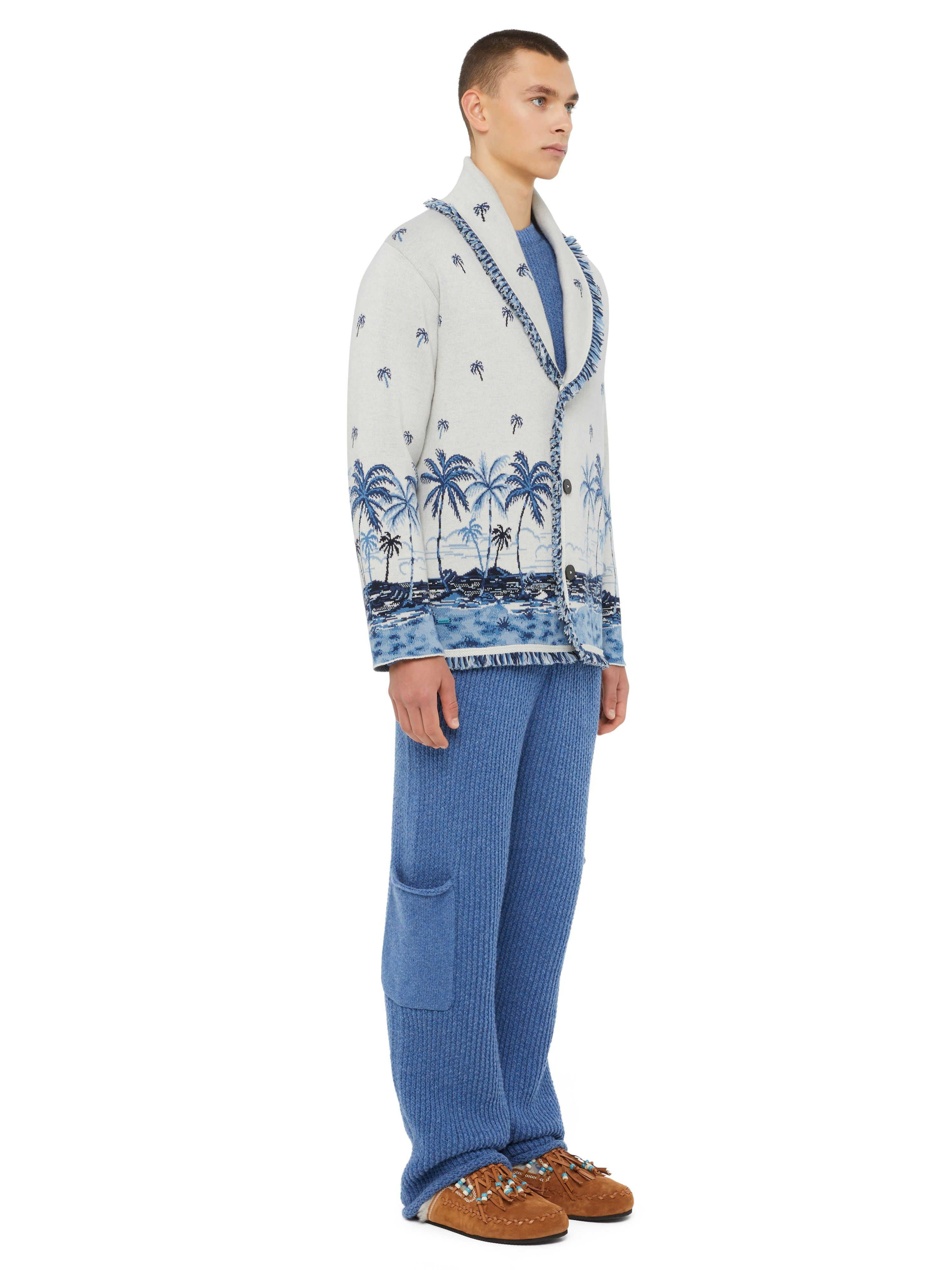 The Tale Of A Hawaiian Cardigan - 5