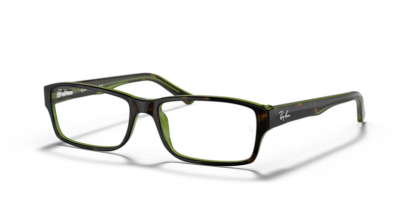 RB5169 OPTICS 1