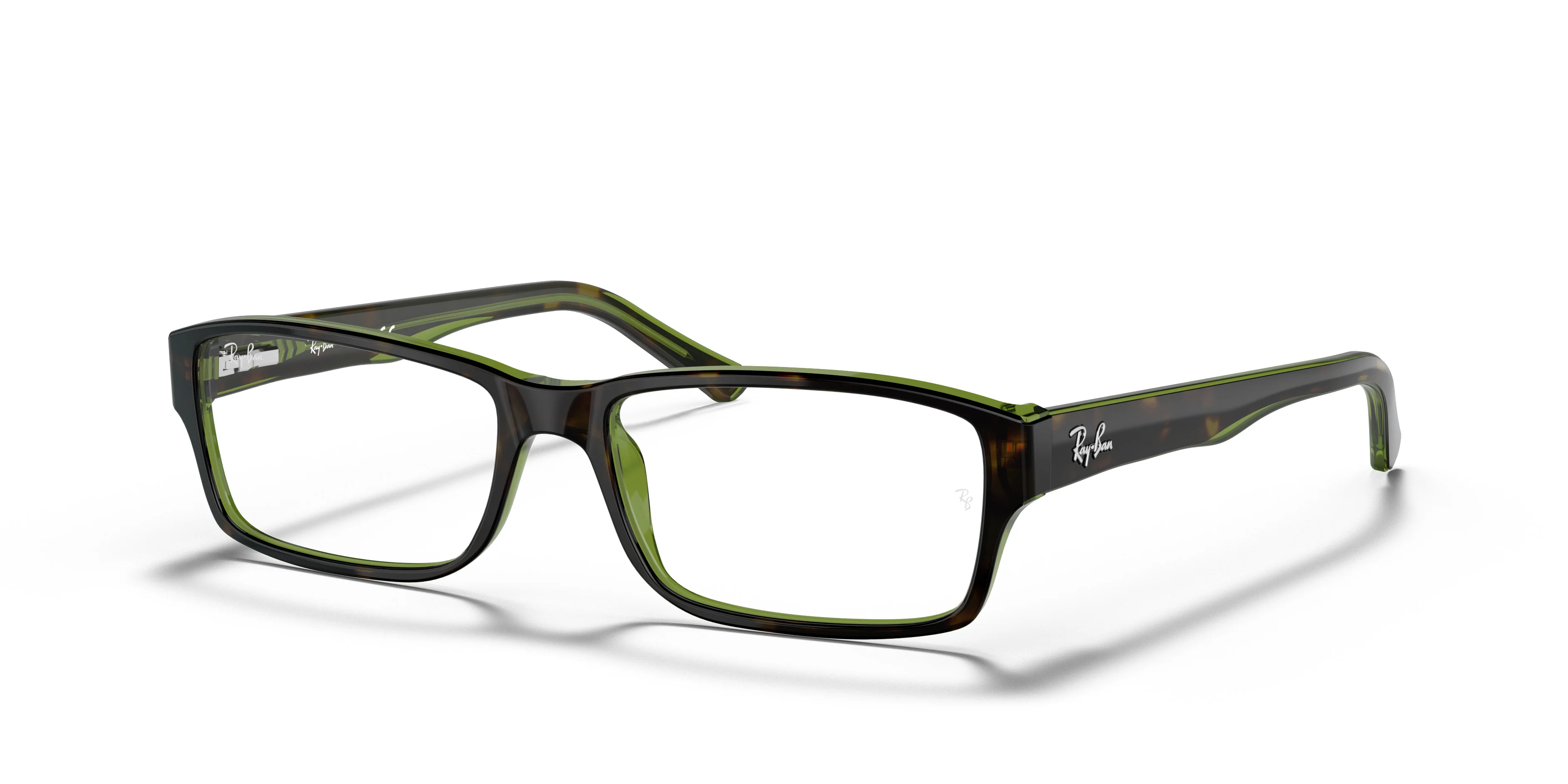 RB5169 OPTICS - 1