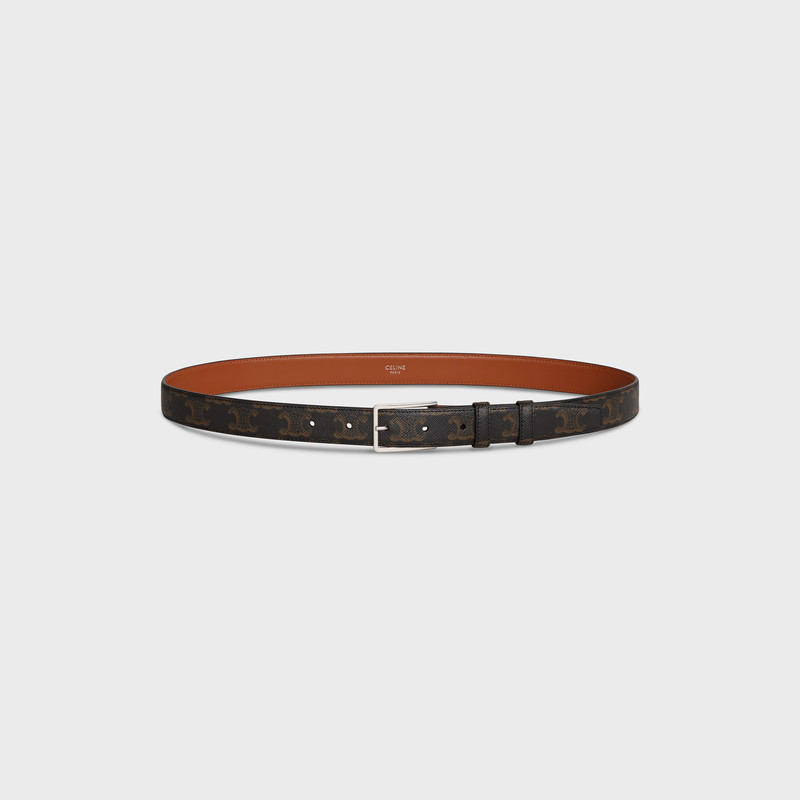 Medium Belt in Triomphe Canvas 3