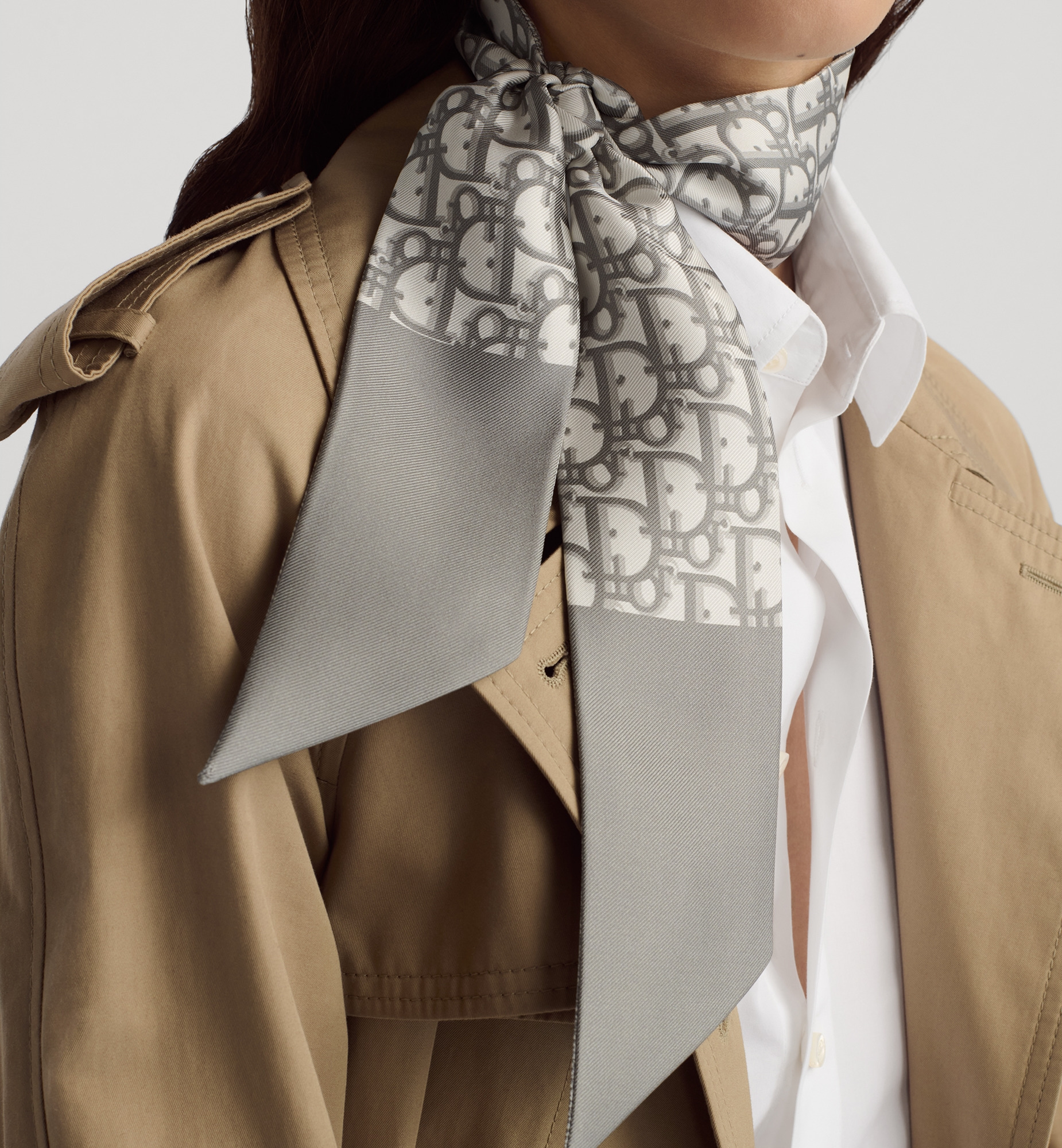 Dior Oblique Mitzah Scarf - 2