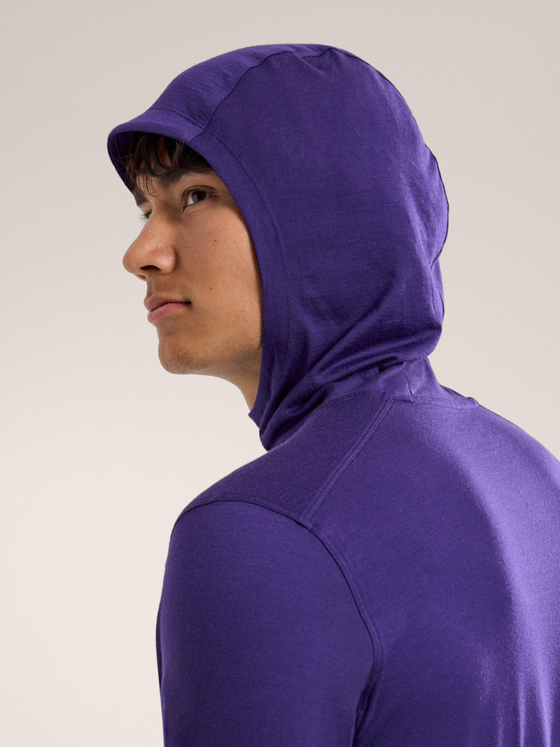 Ionia Merino Wool Hoody 3