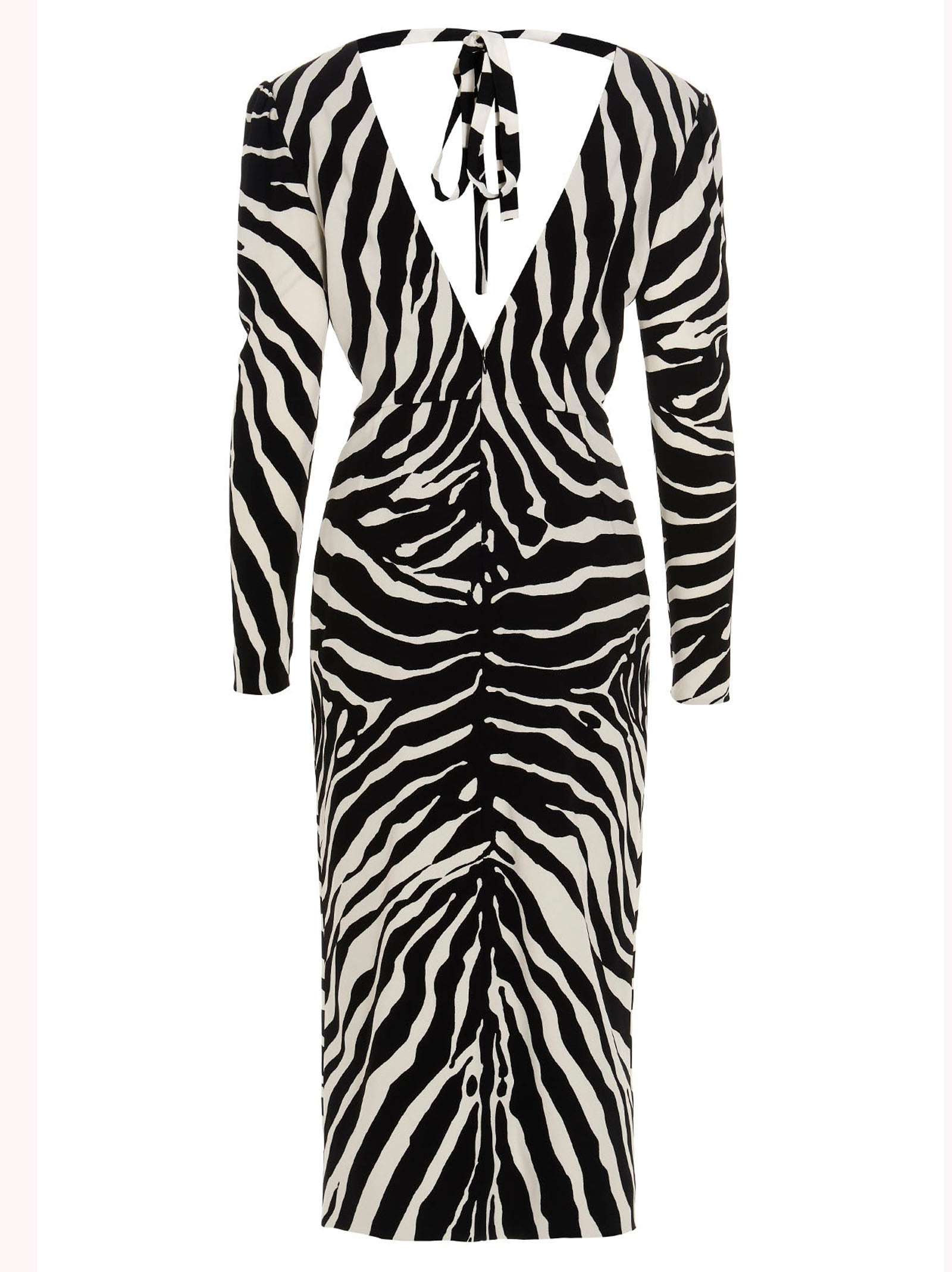 Dolce & Gabbana ‘Zebra’ Dress - 2