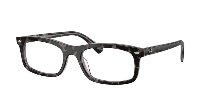 RB5450 OPTICS 3