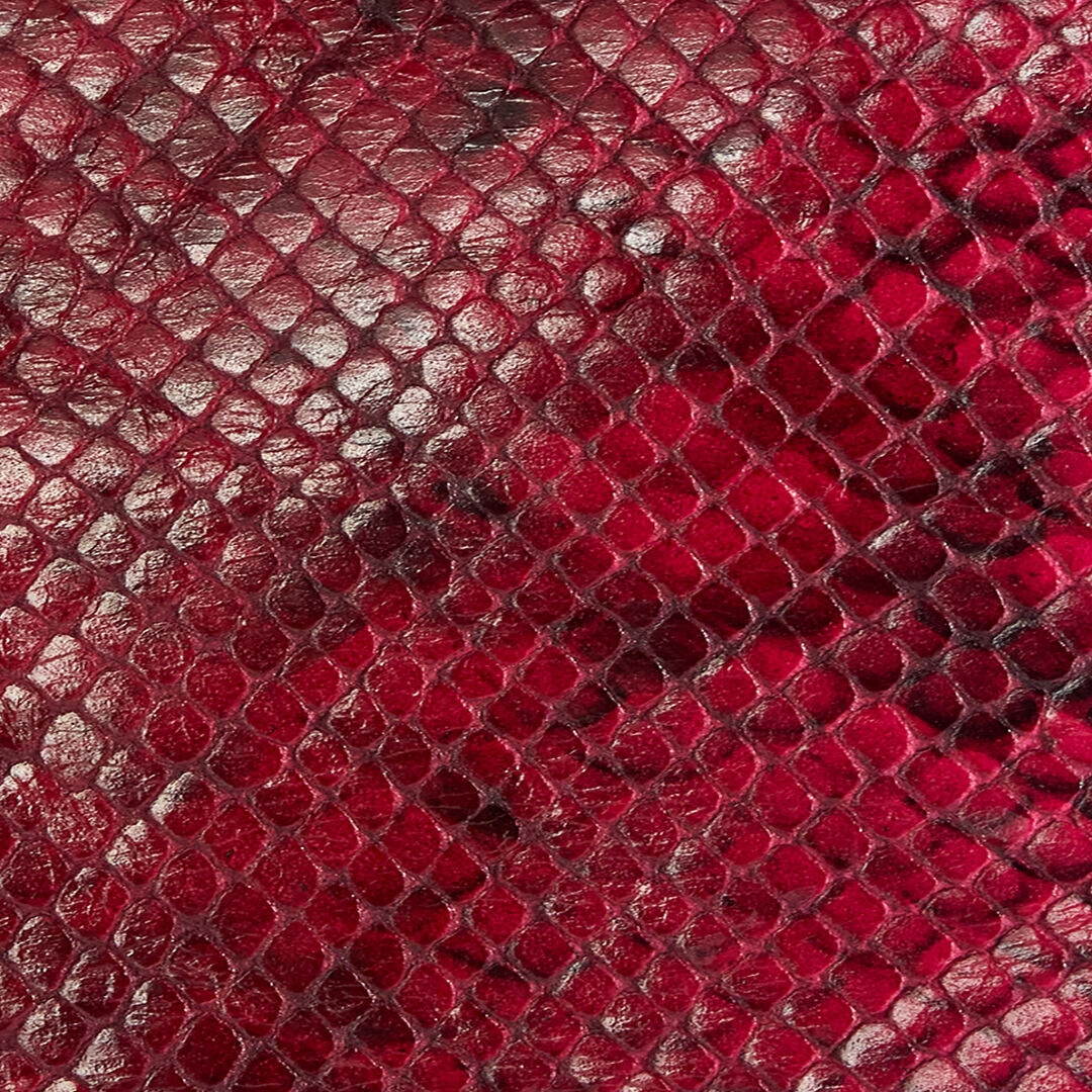 Shiny Python-Print Jacket - 5