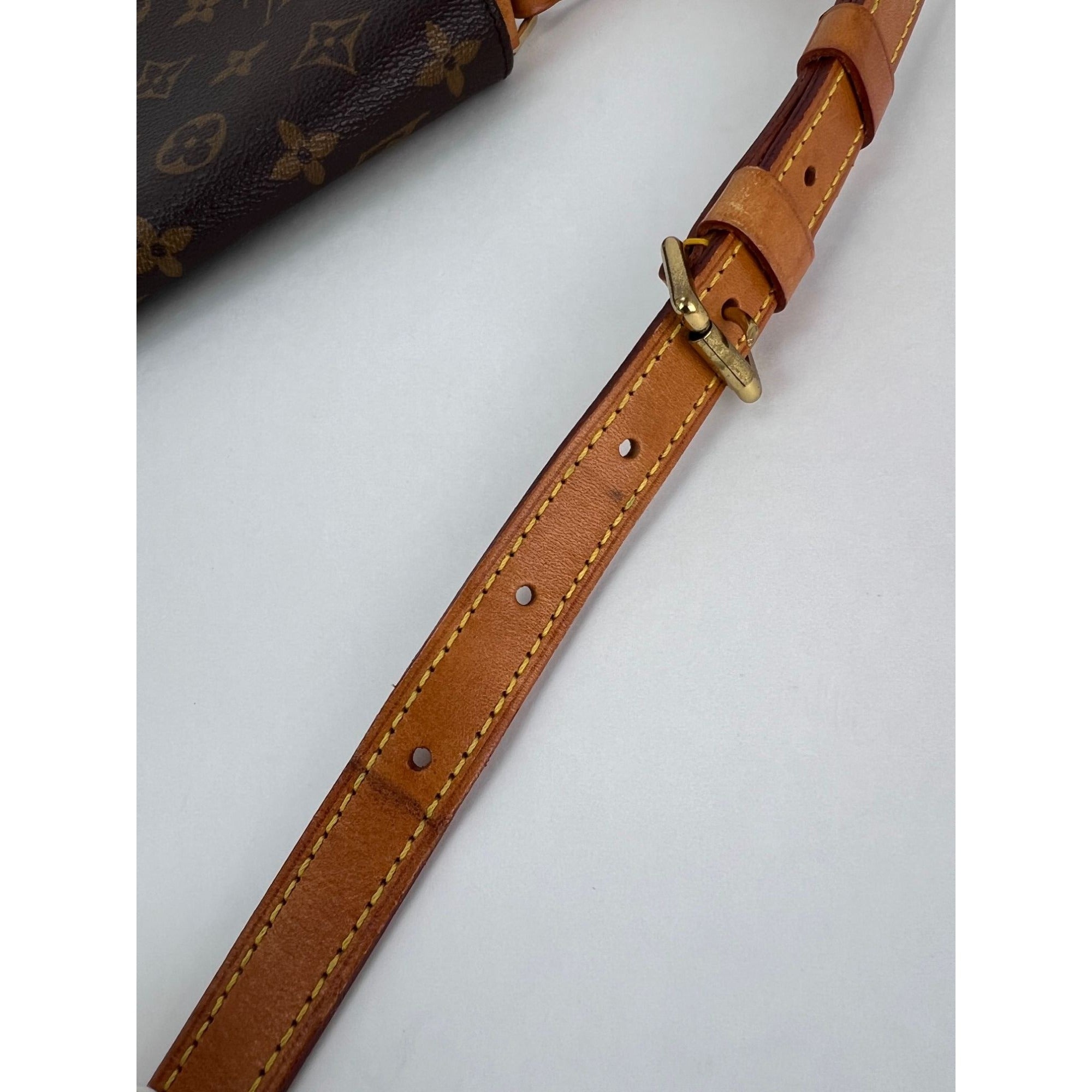 LOUIS VUITTON Musette Tango Monogram Short Strap Shoulder Bag - 10