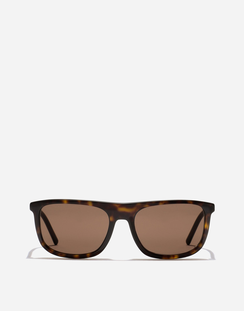 Everyday Sunglasses 1