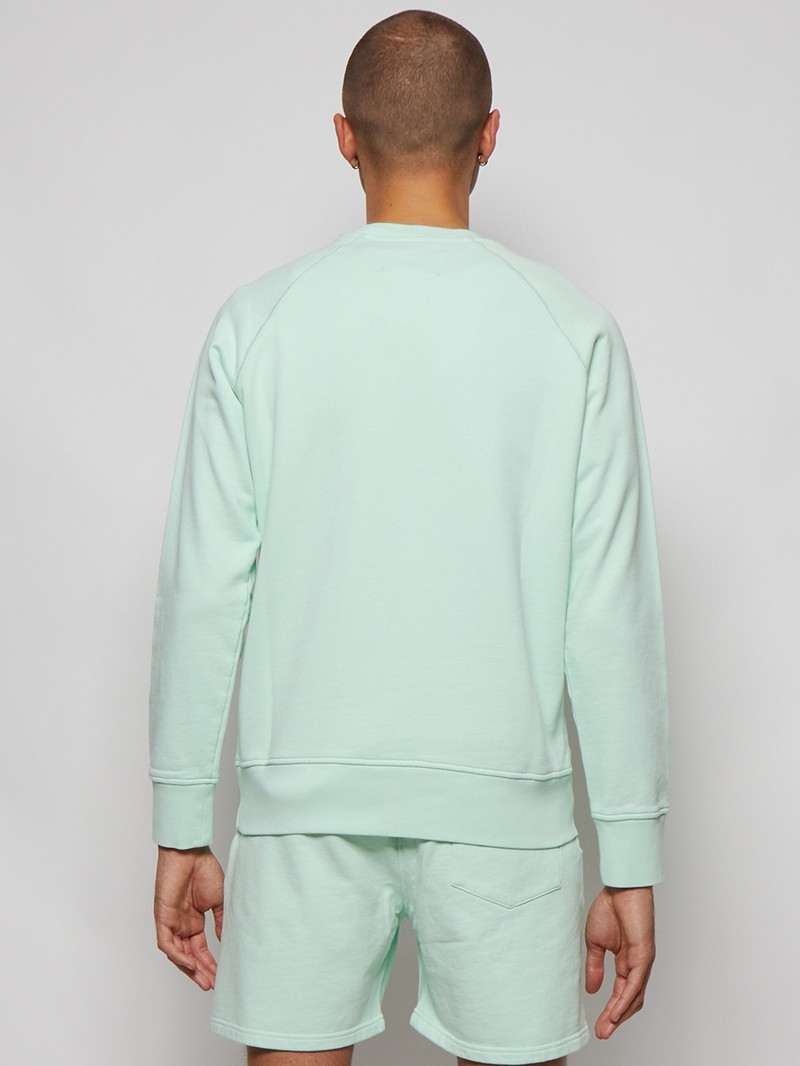 Embroidered Raglan Sweatshirt Green 5