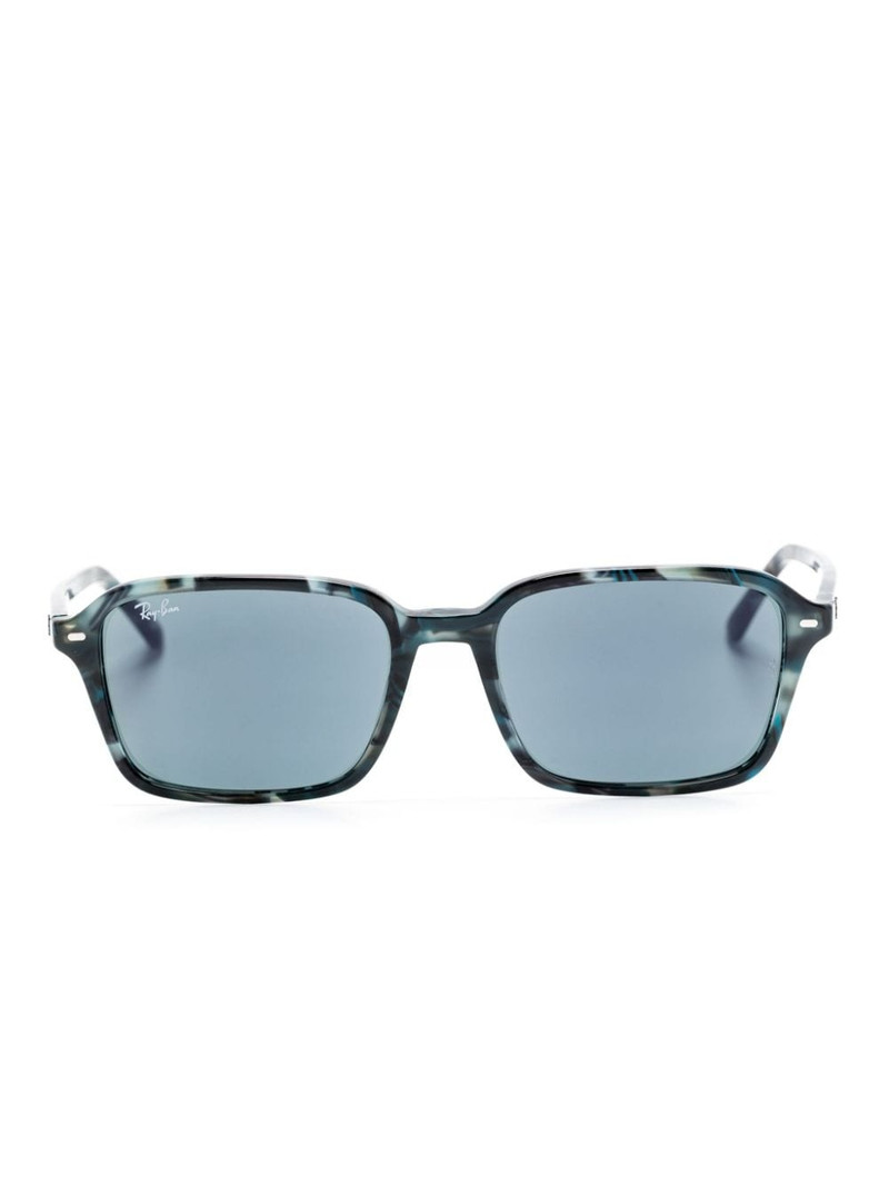 RB2231 sunglasses 1
