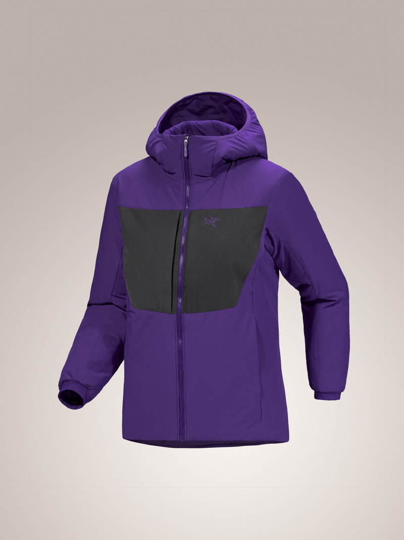 Arc'teryx Proton Heavyweight Hoody outlook