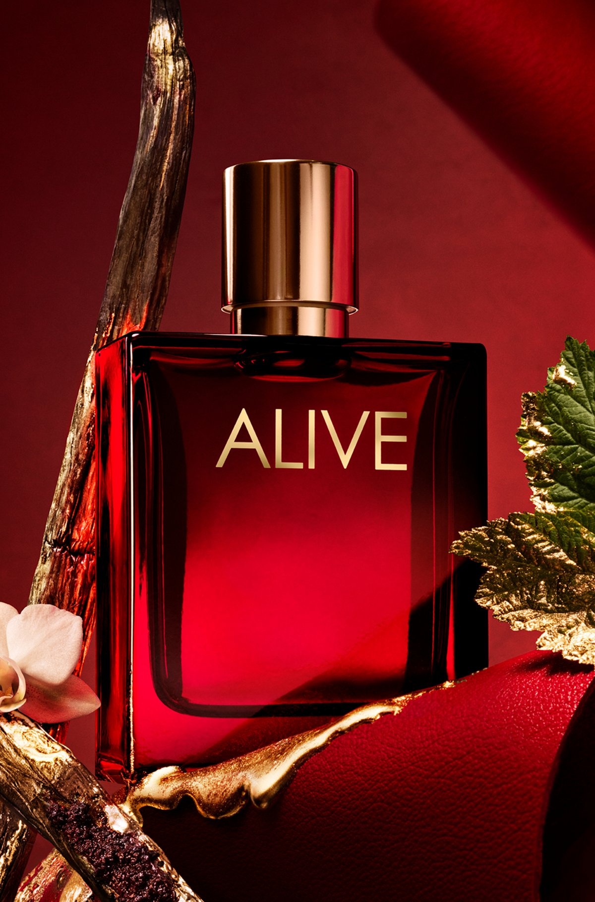 BOSS ALIVE ABSOLU PARFUM INTENSE 50ML - 4