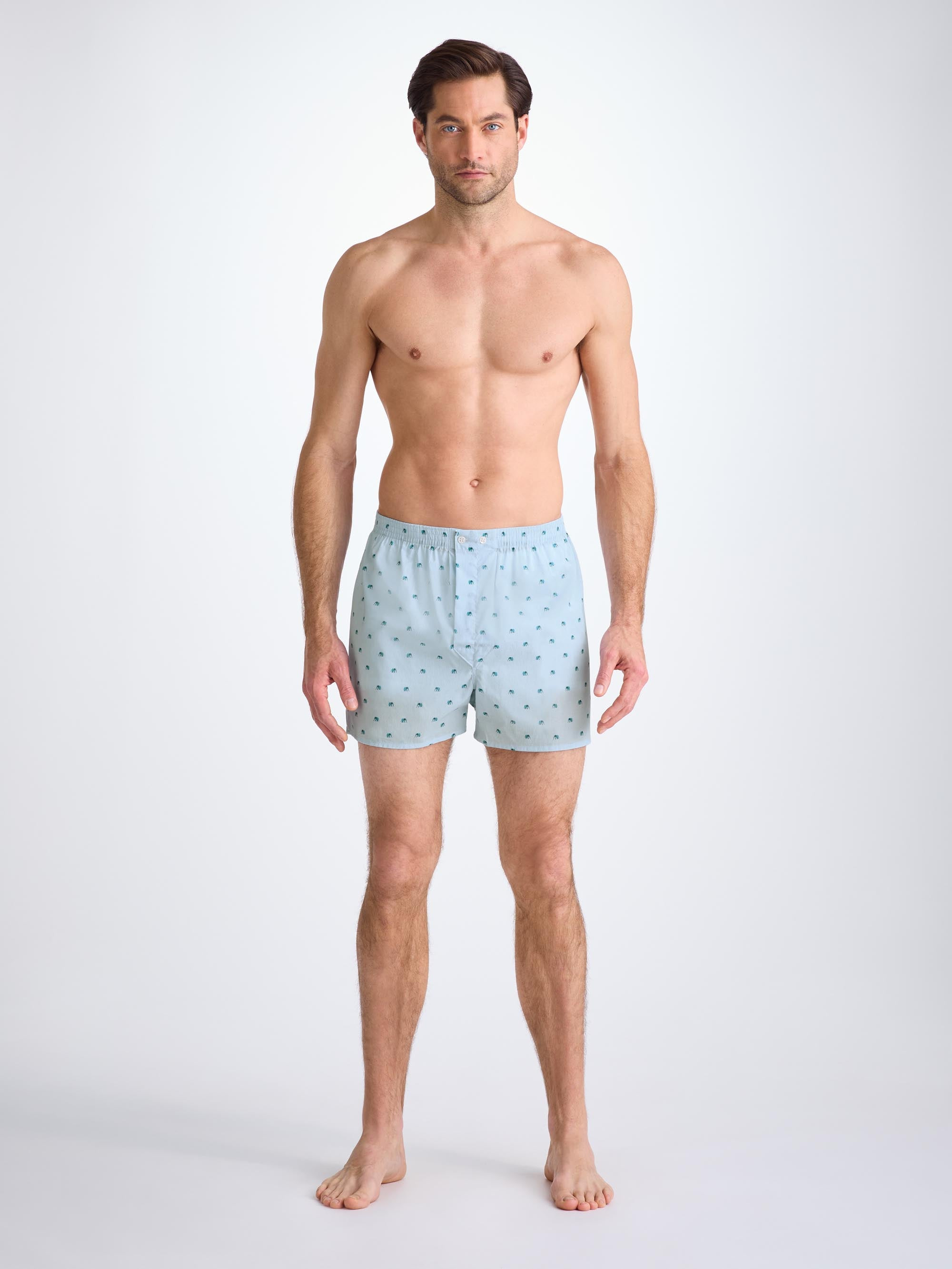 Men's Classic Fit Boxers Cotton Batiste Blue Elephant Print - 4