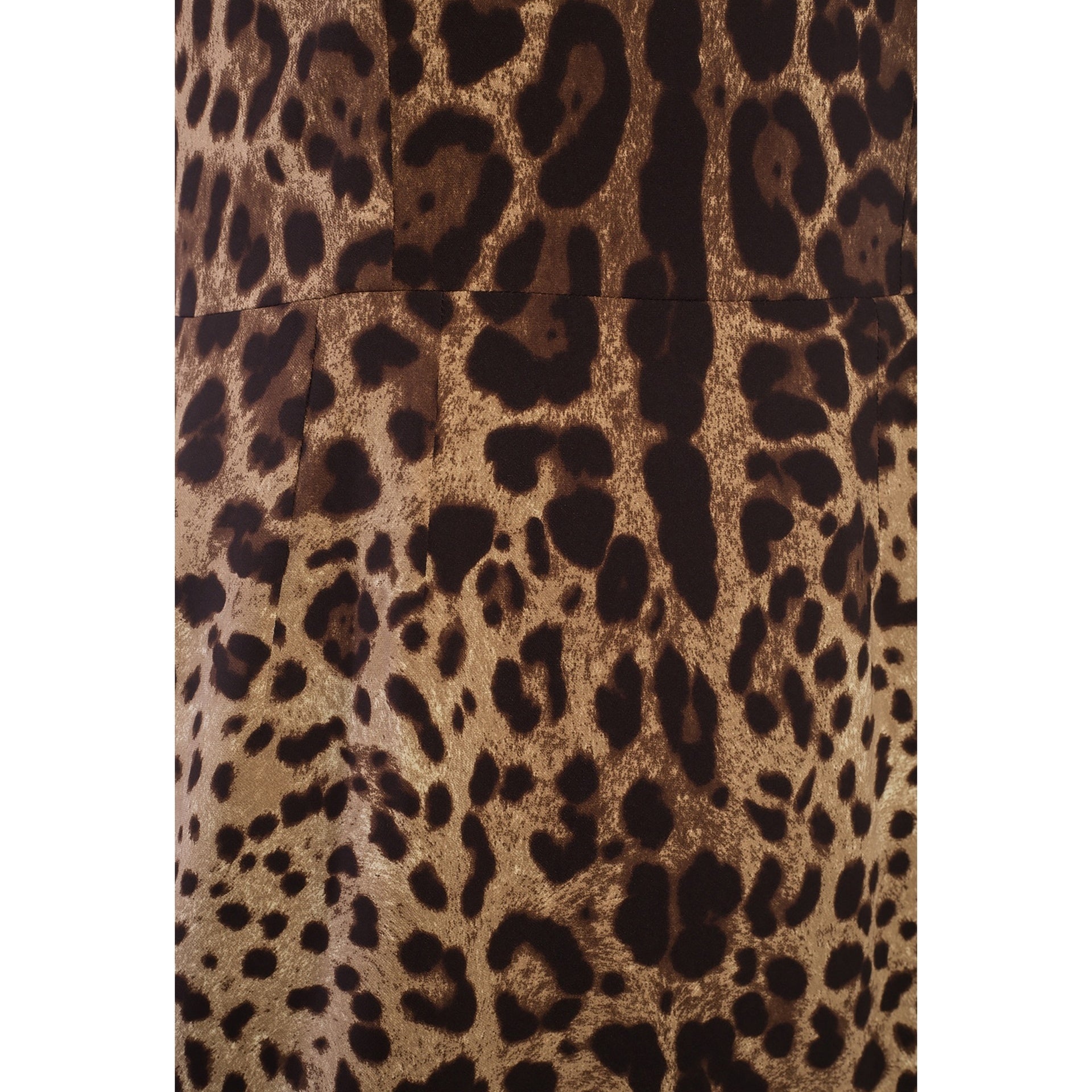 Dolce & Gabbana Leopard Printed Dress - 4