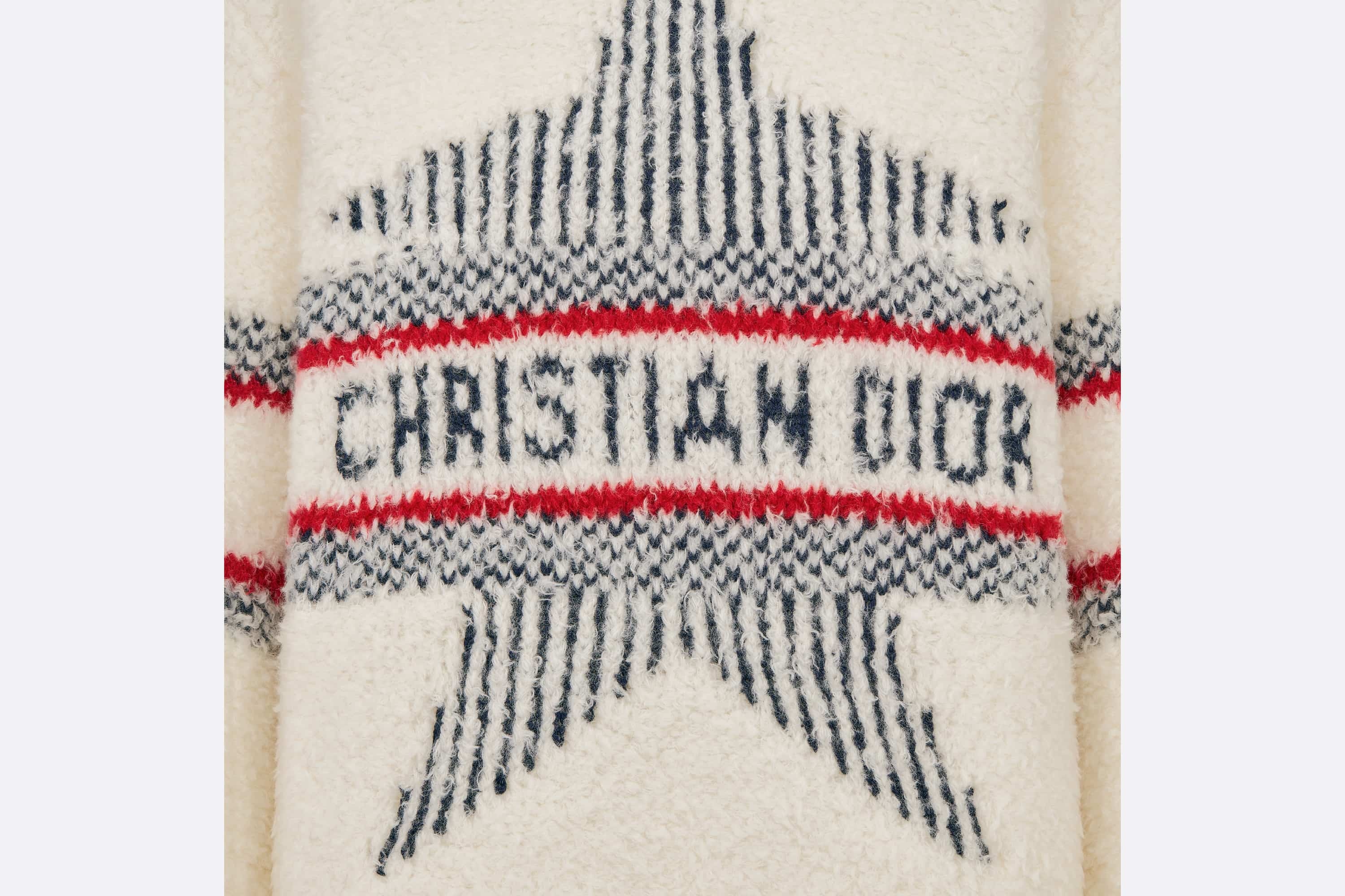 DiorAlps Hooded Sweater - 3