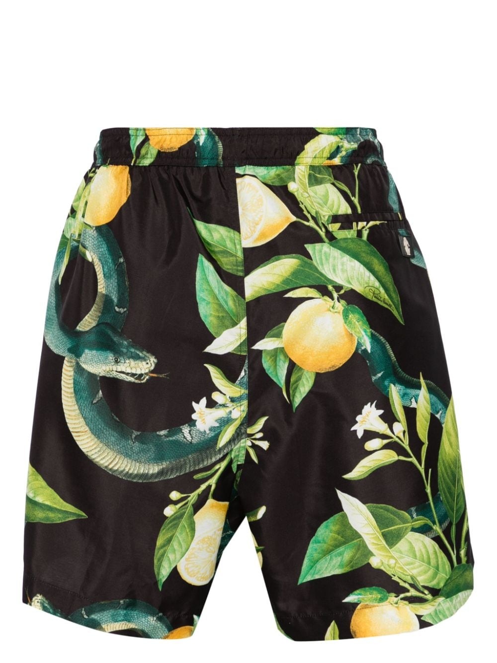 Tiger Tooth-detailed lemon-print swim shorts - 2