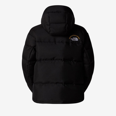 The North Face Wmns Hmlyn 30 Anniversary Parka outlook