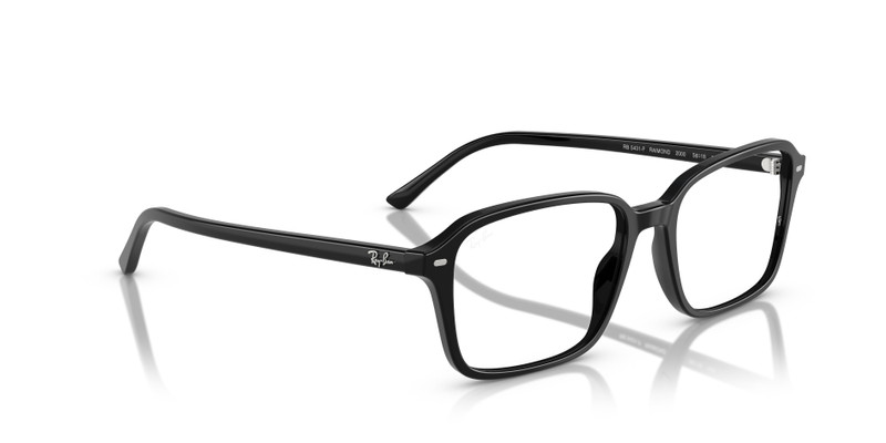 RAIMOND OPTICS 7