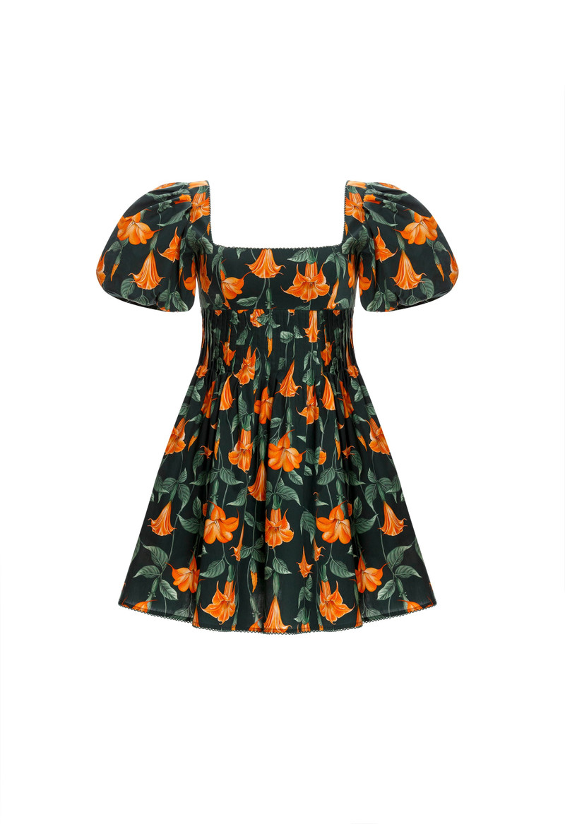Caramelo Sabanero Nocturo Mini Dress 1