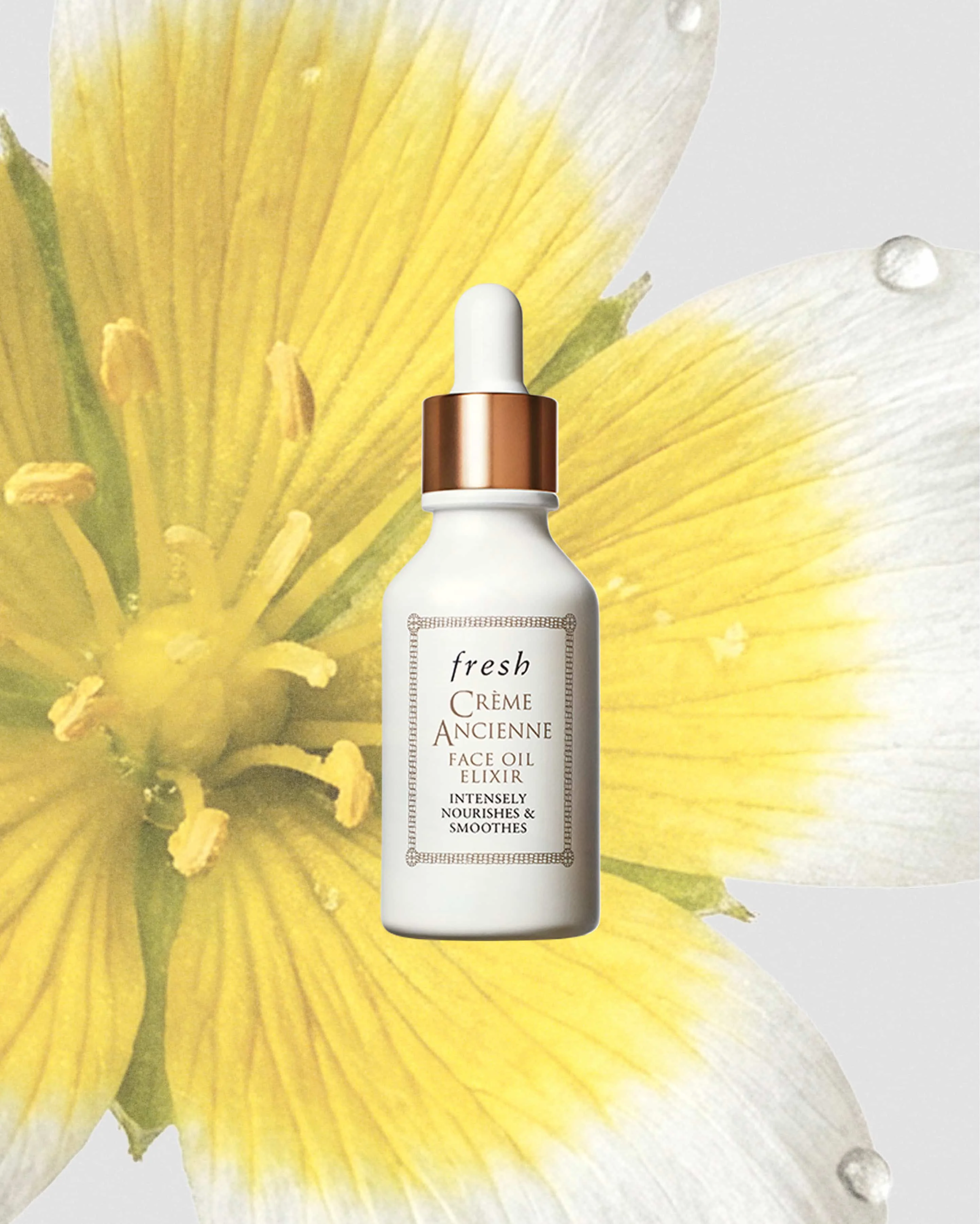 crème ancienne face oil elixir - 1