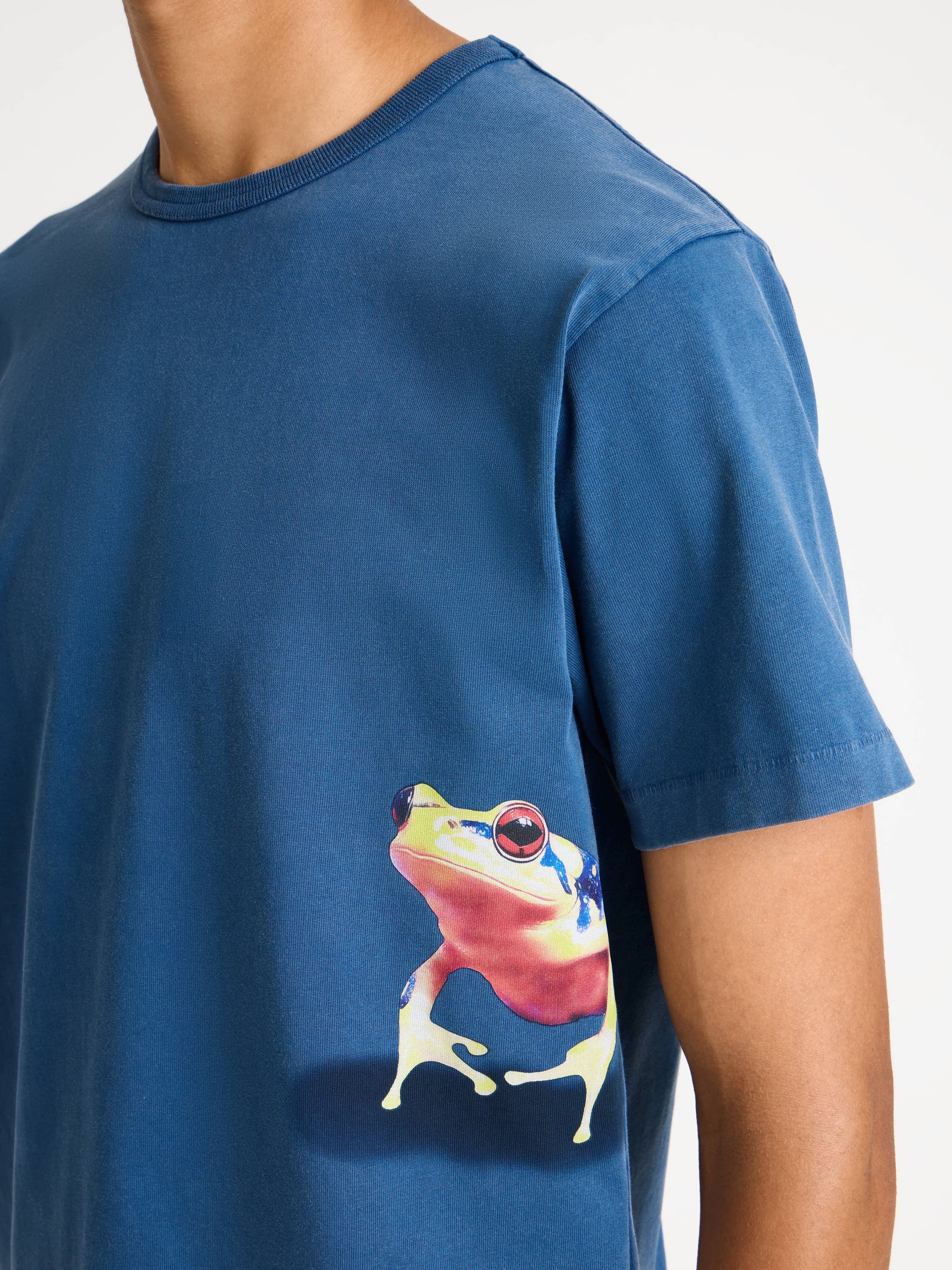 PEEKING FROG TSHIRT IN MID BLUE - 6