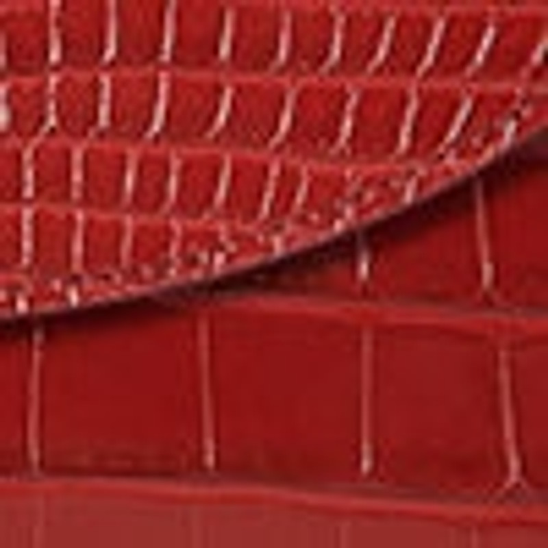 All In Wallet in Alligator 6